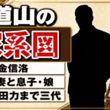 力道山の家系図は三代でリングへ!孫・百田力と朝鮮に残された娘