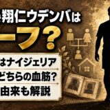 元砂晏翔仁ウデンバはハーフ？ルーツはナイジェリア！父と母どちらの血筋なのか